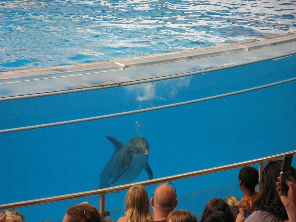 Baltimore MD 2009 1310.jpg - A 4th of July trip to Washington DC in 2009 included a stop in Baltimore MD to see the National Aquarium.